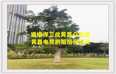 婚姻保卫战黄磊凸起图 黄磊电视剧婚姻保卫战